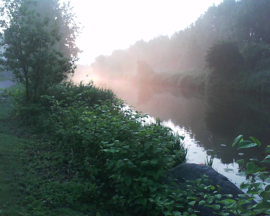 Nebel am Kanal