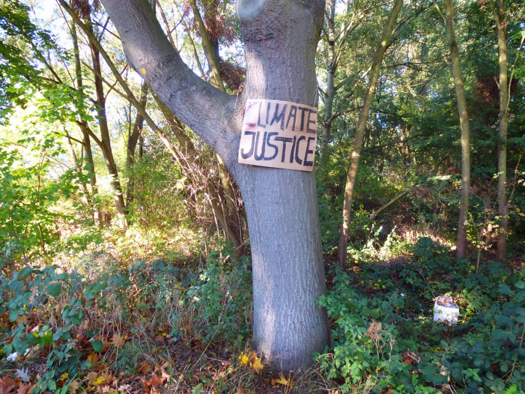 Climate Justice Wald Wilhelmsburg