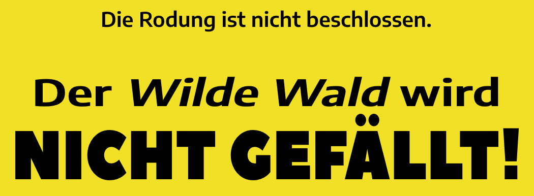 schwarzer Text auf knall gelbem Hintergrund: Die Rodung ist nicht beschlossen. Der Wilde Wald wird NICHT GEFÄLLT!